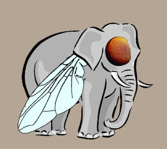 Из мухи – слона