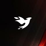 ROXES | Музыка | Сохры